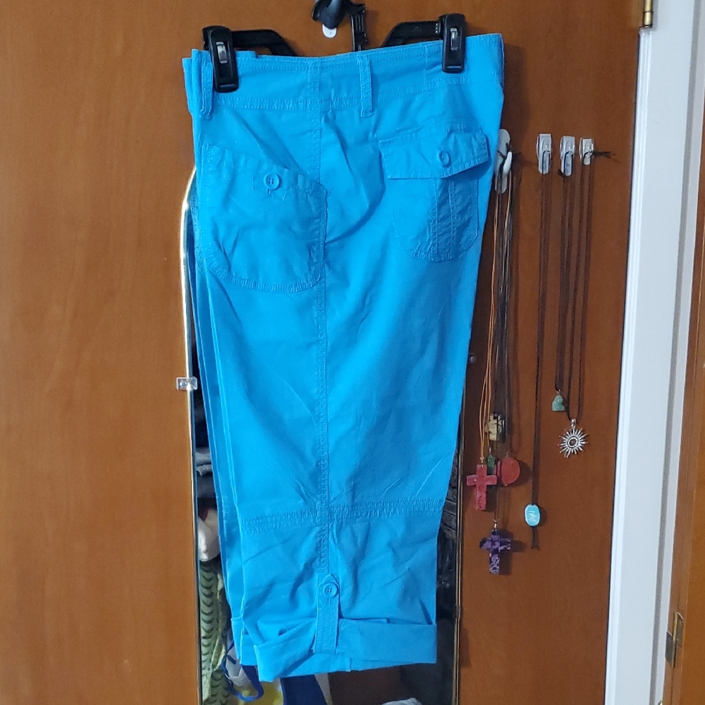 liz & co. Blue Cropped Pants